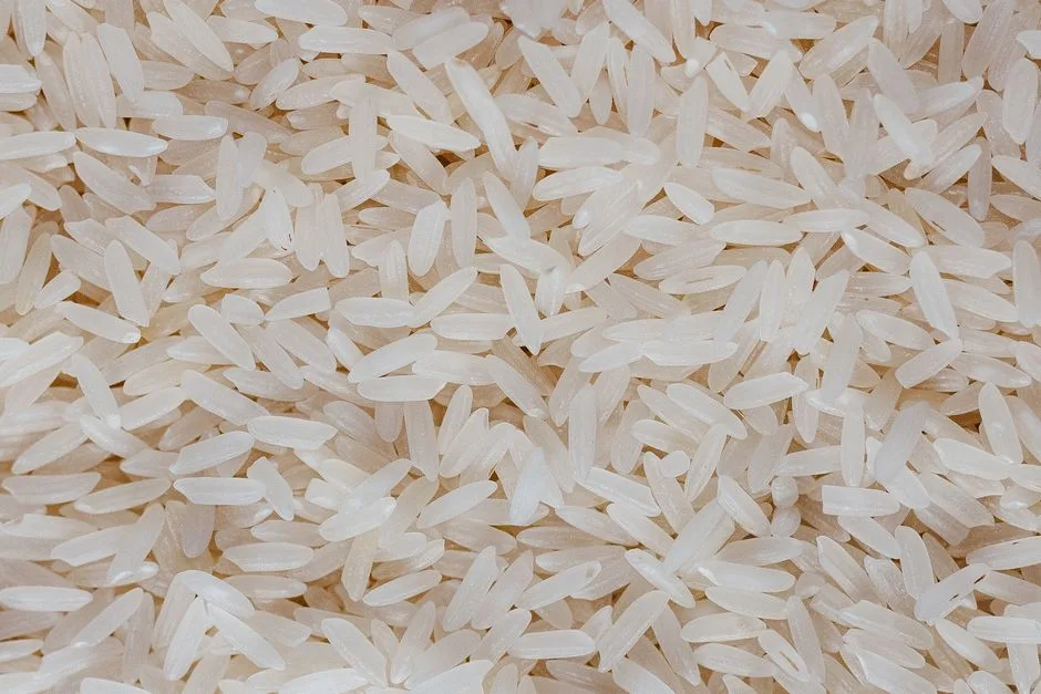 Rice & Grains